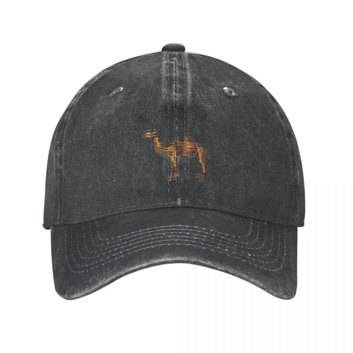 Camel Mirage Band Men Women Baseball Caps